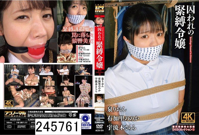 囚われの緊縛令嬢 DIDコレクション3