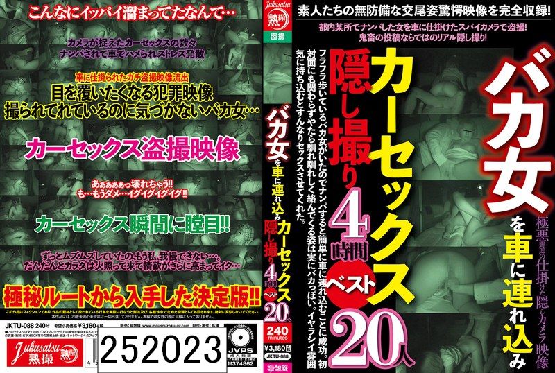バカ女を車に連れ込みカーセックス隠し撮り4時間ベスト20人
