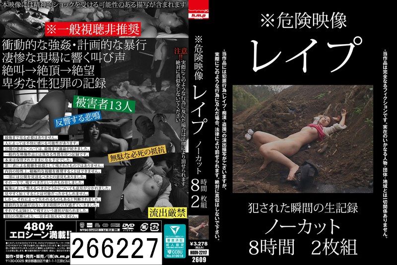 DISC2 ※危険映像 レ●プ ノーカット8時間2枚組